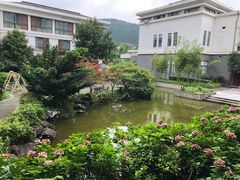 -太湖湾开元名庭大酒店