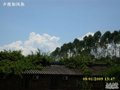 -林丰温泉度假山庄