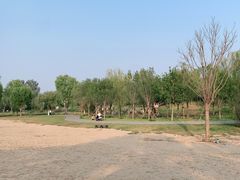 -东郊湿地公园