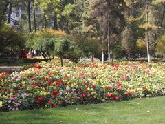 -西宁市人民公园(城西区)