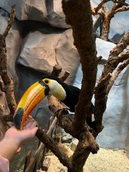 -Zoolung Zoolung动物主题公园(海信广场店)