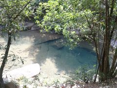 -广州白江湖森林公园