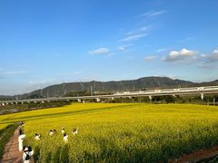 -光明小镇欢乐田园