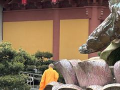 -上海东林寺(金山区)