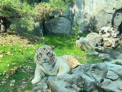 -北京野生动物园