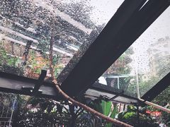 -NLFS1983咖啡花园餐厅(锦桂店)