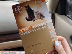 -美联众合宠物医院·爱萌分院·内外科·猫科中心