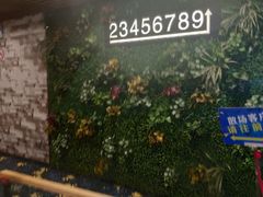 -CMC大光明影城(莲花店)