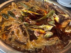 -花鲢鱼头火锅(春城东路店)