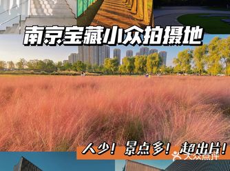 南京必打卡小众拍照地️生态科技岛全攻略