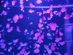 -多彩贵州城极地海洋世界