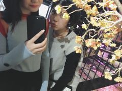 -范设计花园餐酒咖·中西餐·咖啡厅·酒馆