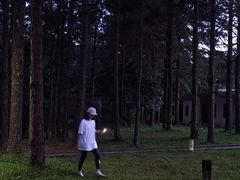 -海南热带雨林国家公园吊罗山景区