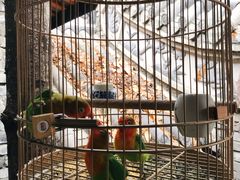 -鱼桥巷·美学川菜