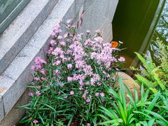 -人民公园(罗湖区)