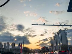 -醉得意·山茶油炒土鸡(莆田仙游方圆荟店)