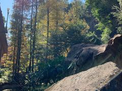 -广州莲花山旅游区