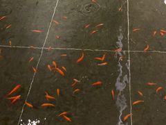-青岛海尔洲际酒店