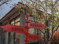 -高东镇樱花园