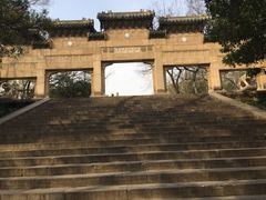 -灵谷景区