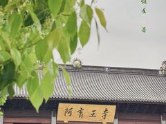 -阿育王寺