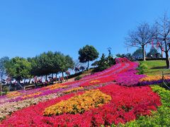-东莞植物园