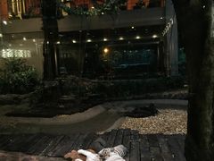 -白虎自助餐厅·真老虎·景观自助餐厅(广州长隆酒店)