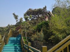 -徂徕山森林康养度假谷温泉