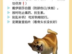 -申普宠物医院(总院)