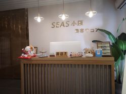 -SEAS小顏·日本小颜整骨美容サロン