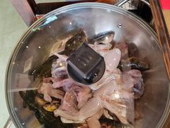 -石锅苗苗鱼(武汉首店)