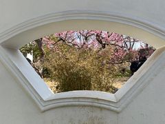 -梅花山(明孝陵内)