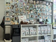 -爱妮康宠物医院·干细胞免疫细胞·肿瘤·心脏(张江店)