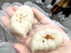 -野荸荠