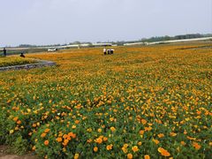 -江苏三台山国家森林公园