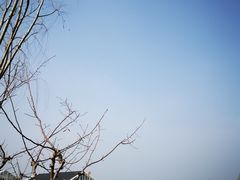 -同里国家湿地公园