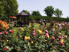 -武汉紫薇都市田园