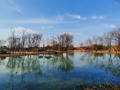 -西溪国家湿地公园