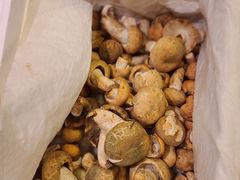 -缘生态云南菜·野生菌庭院餐厅(华侨城店)
