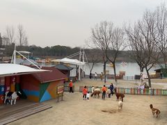 -太阳岛度假酒店