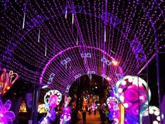 景点-金城公园