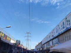 -中环花鸟鱼虫市场