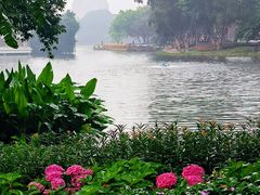-荔湾湖公园