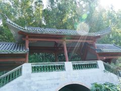 -广州神农草堂中医药博物馆