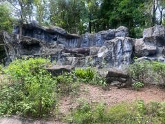 -清迈夜间动物园