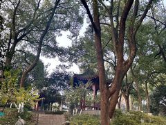 -武汉动物园