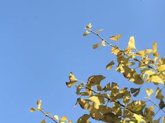 -苏州现代传媒广场商业