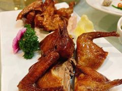 红烧乳鸽-宜宾海鲜酒家·三十年老字号