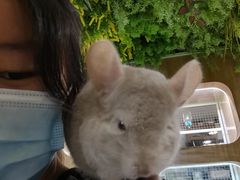 -藦茜花园宠物主题亲子互动体验馆(国顺东路店)