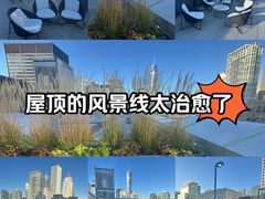 -特朗普国际酒店大厦